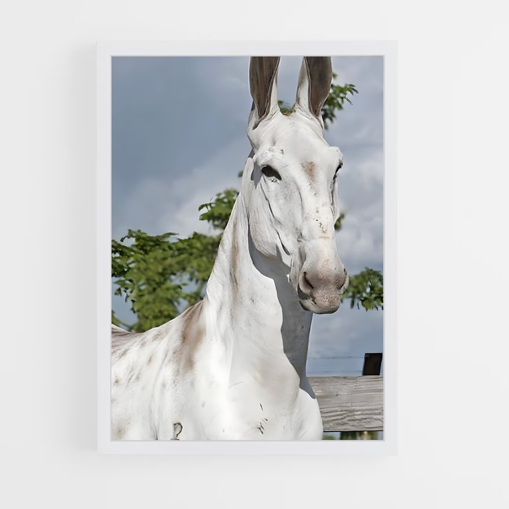 ap-mule-2 cadre Blanc