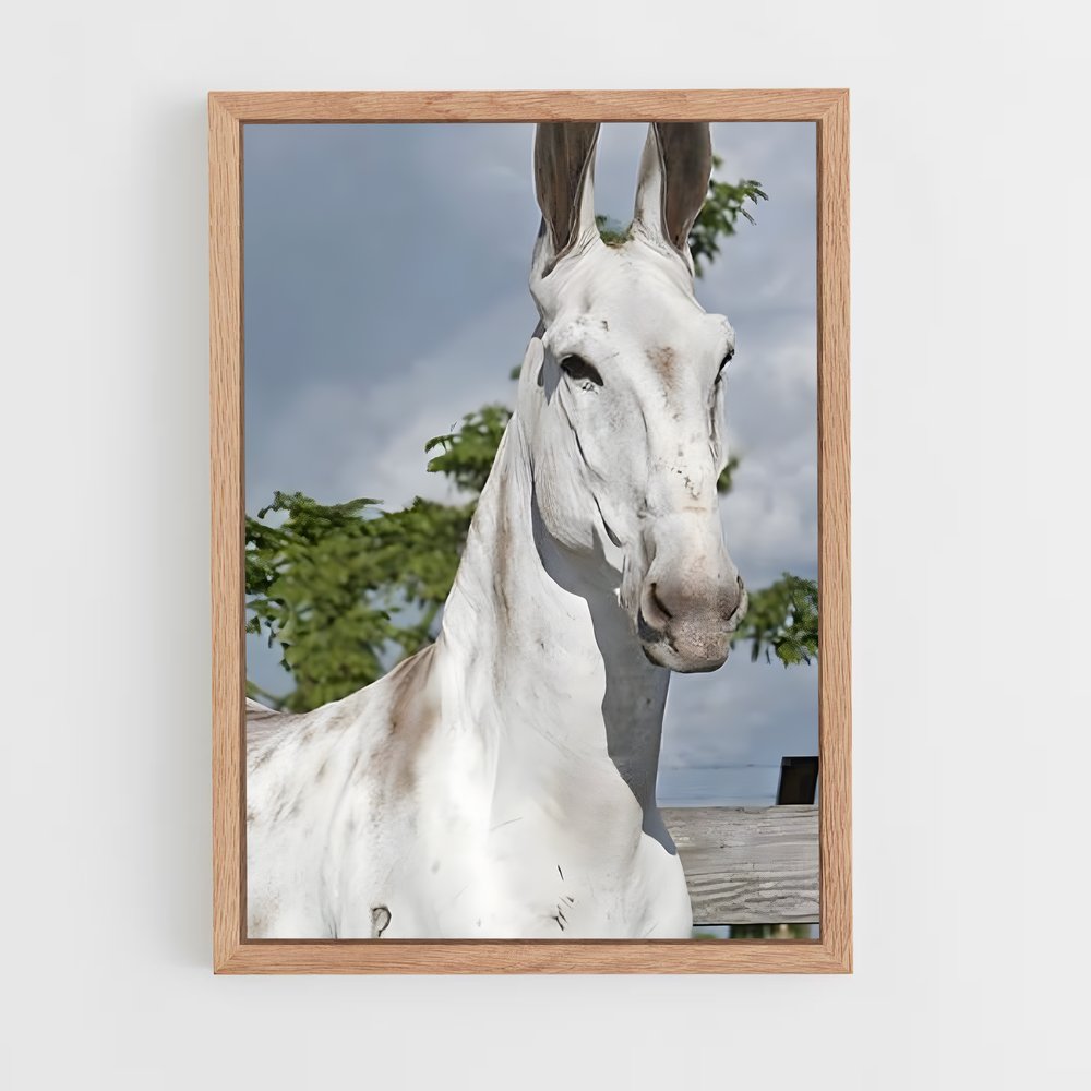 ap-mule-2 cadre Bois clair