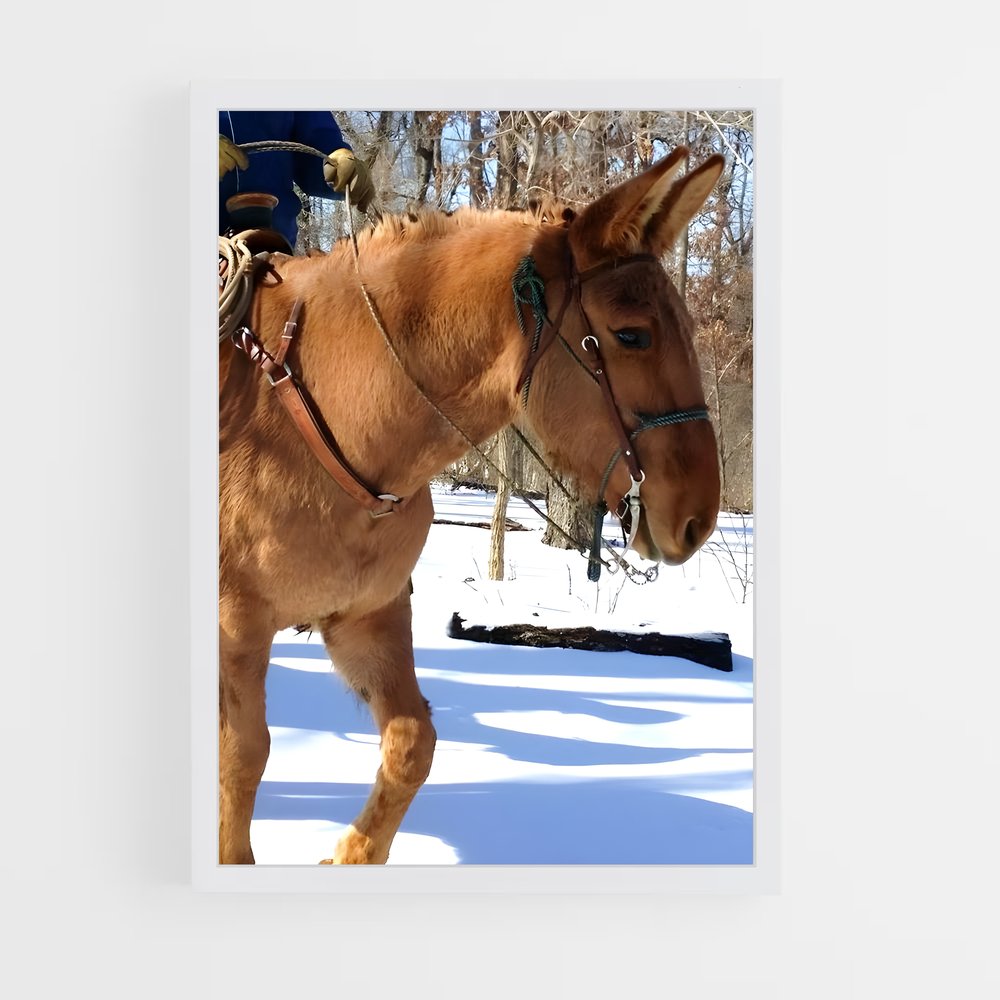 ap-mule-3 cadre Blanc