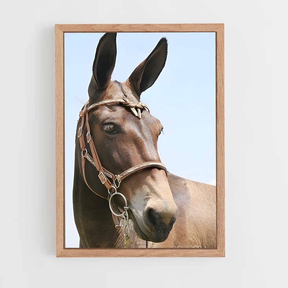ap-mule-4 cadre Bois clair