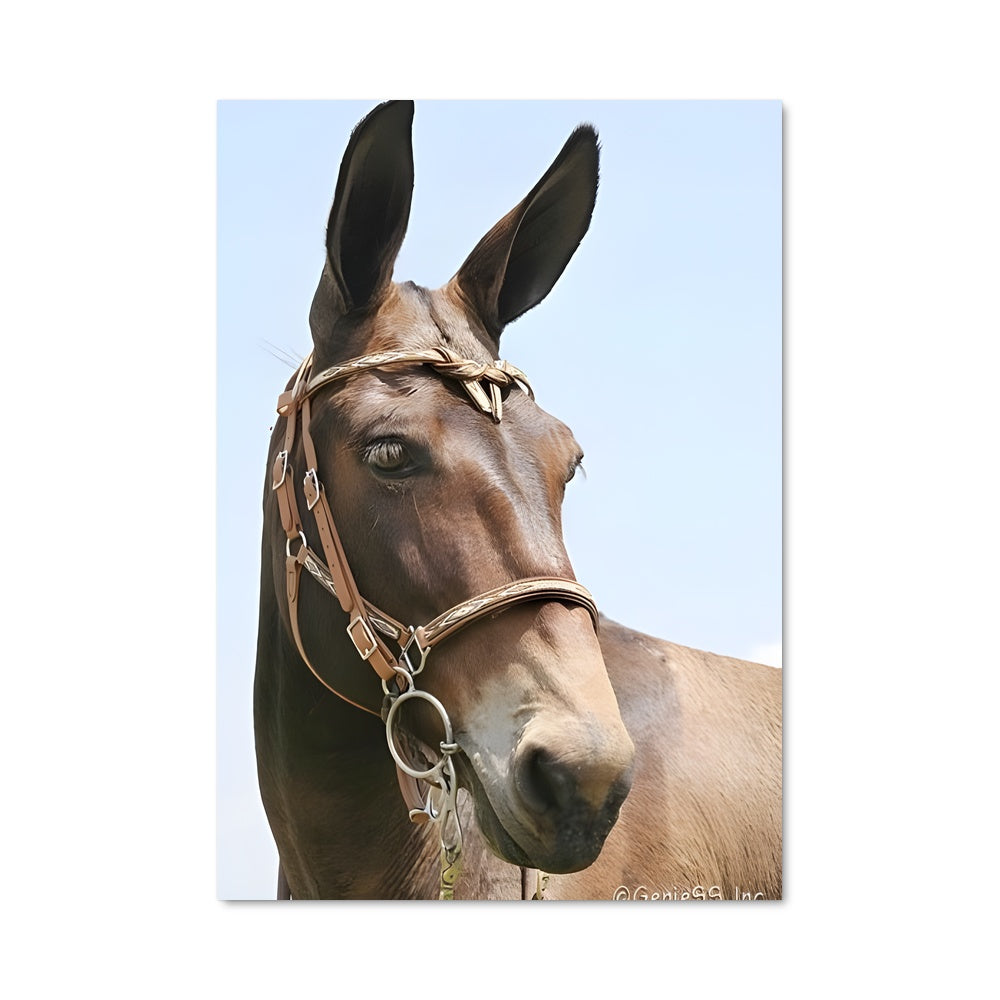 Poster La Force Équestre