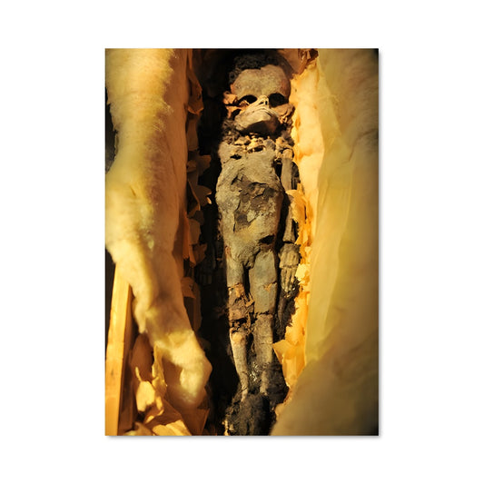 Poster Essence de Bois