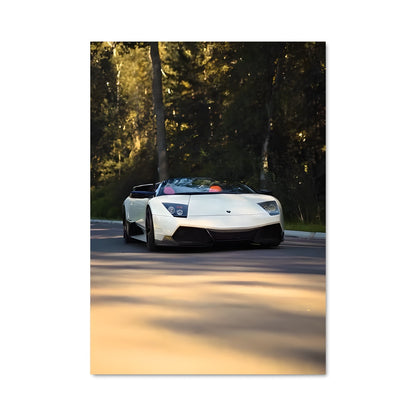 Poster Murcielago Blanc