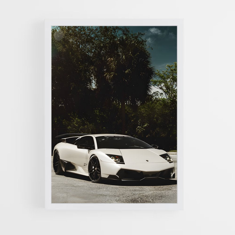 ap-murcielago sv-8 cadre Blanc