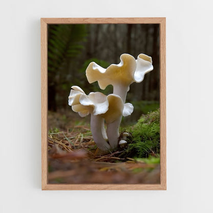 ap-mushroom-1 cadre Bois clair