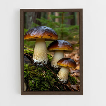 ap-mushroom-4 cadre Bois foncé