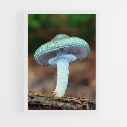 ap-mushroom-8 cadre Blanc