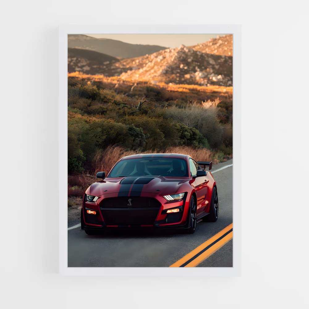 ap-mustang cobra-1 cadre Blanc