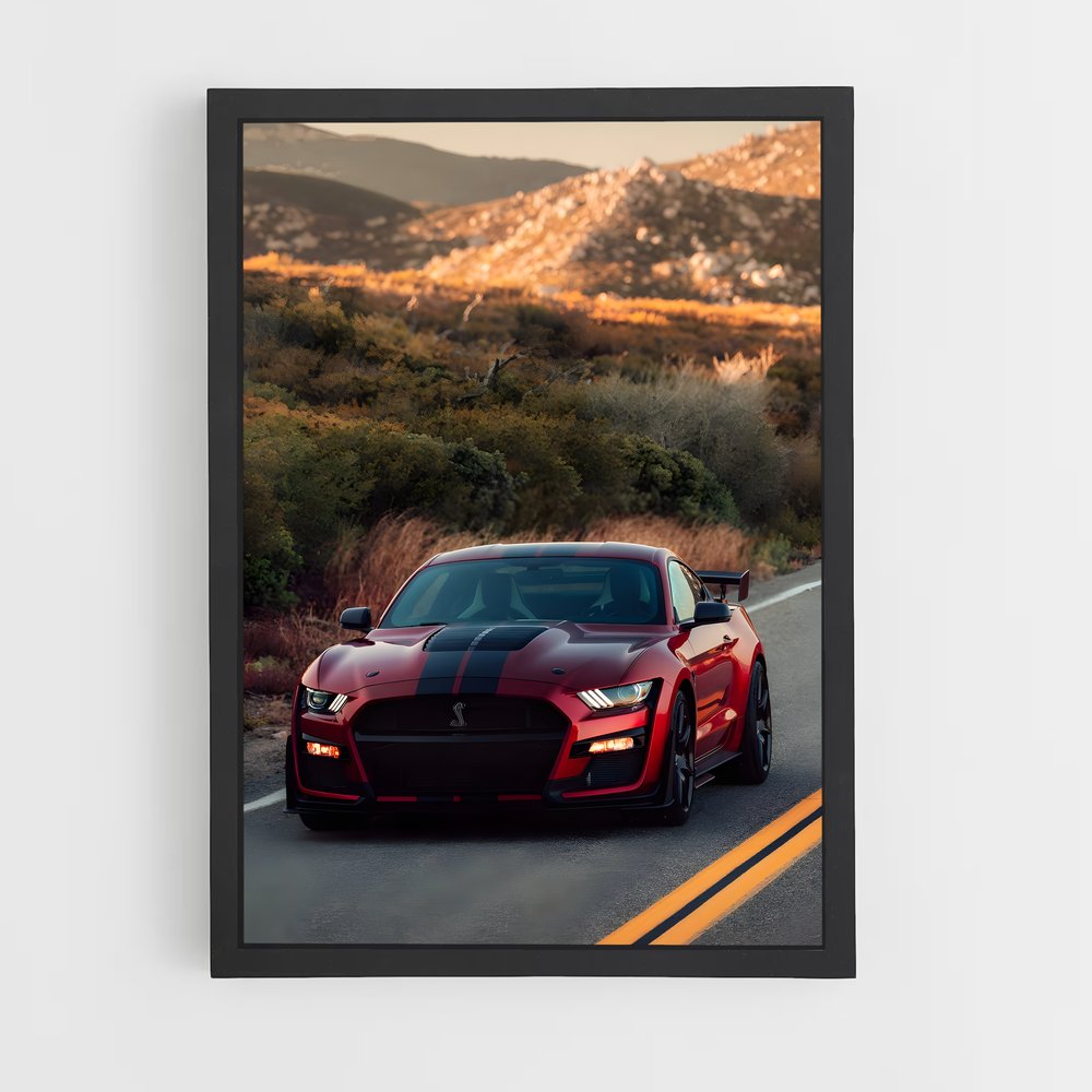 ap-mustang cobra-1 cadre Noir