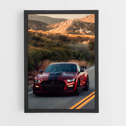 ap-mustang cobra-1 cadre Noir