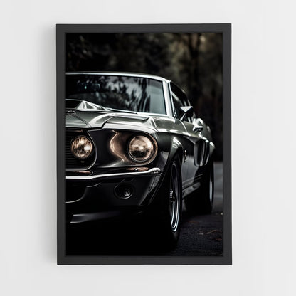 ap-mustang shelby-3 cadre Noir