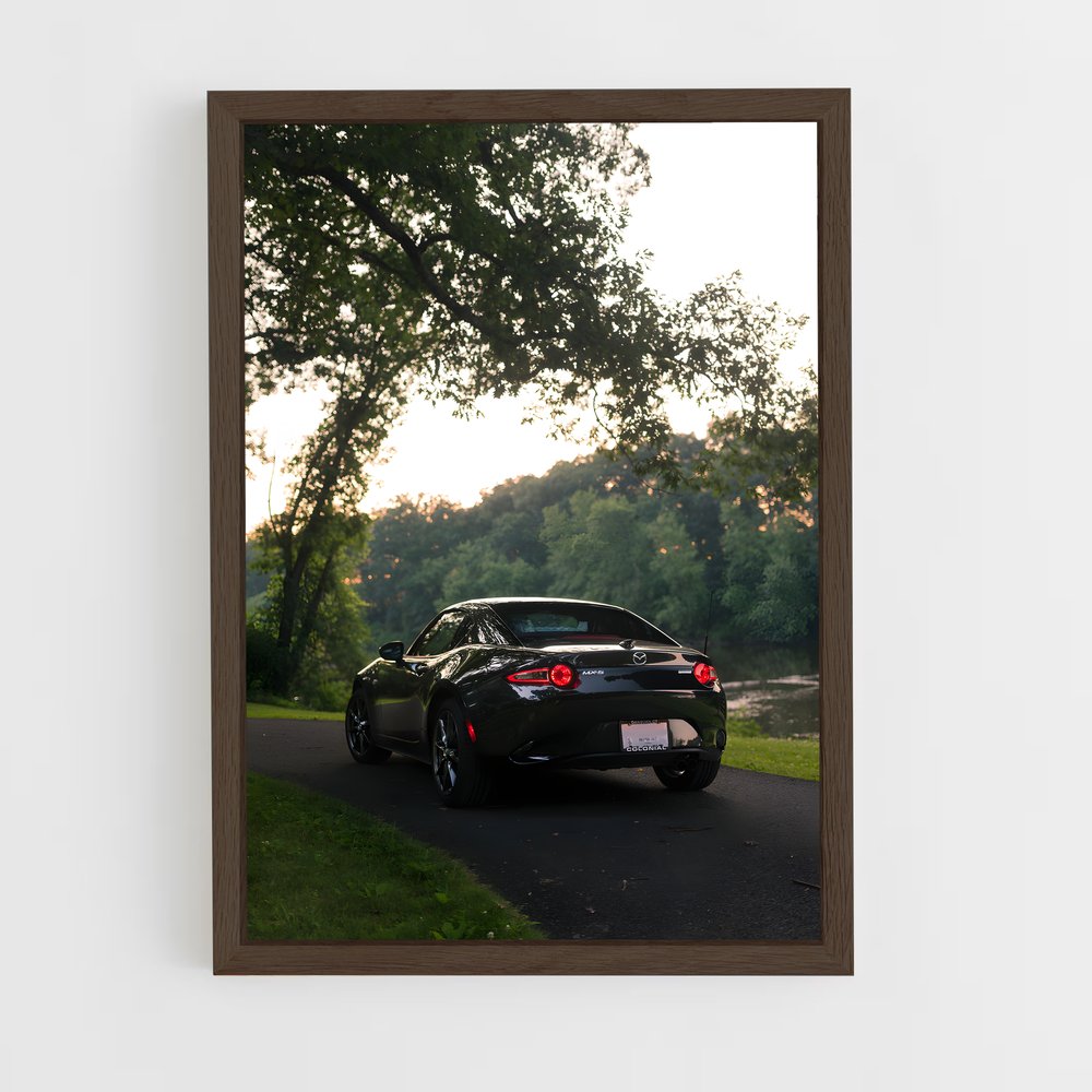 ap-mx-5 rf-3 cadre Bois foncé