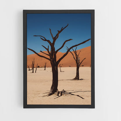 ap-namibia-2 cadre Noir