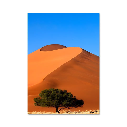 Poster Namibian desert 94780