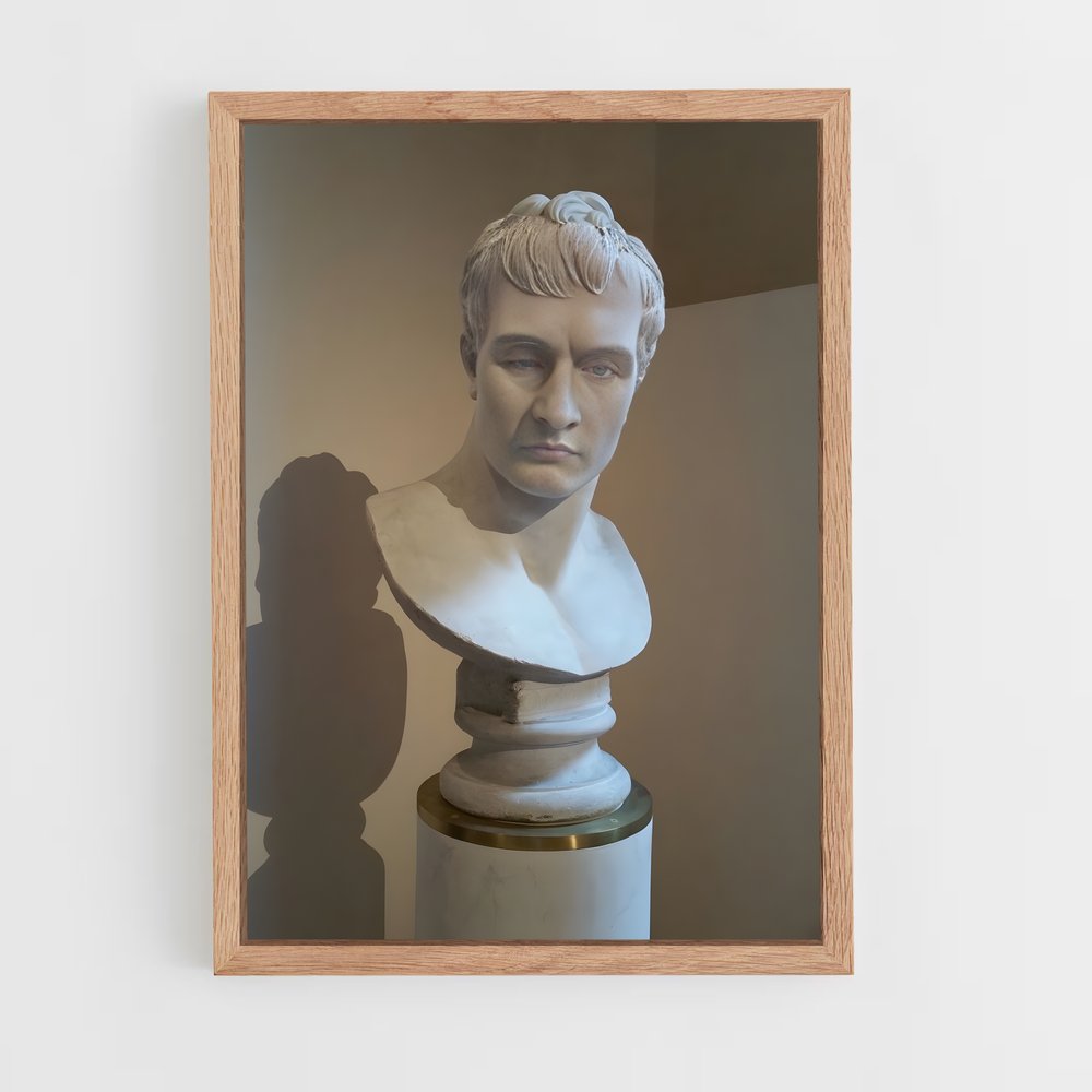 ap-napoleon as mars canova-2 cadre Bois clair
