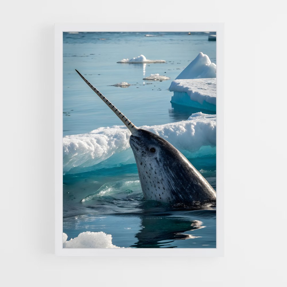 ap-narwhal-1 cadre Blanc