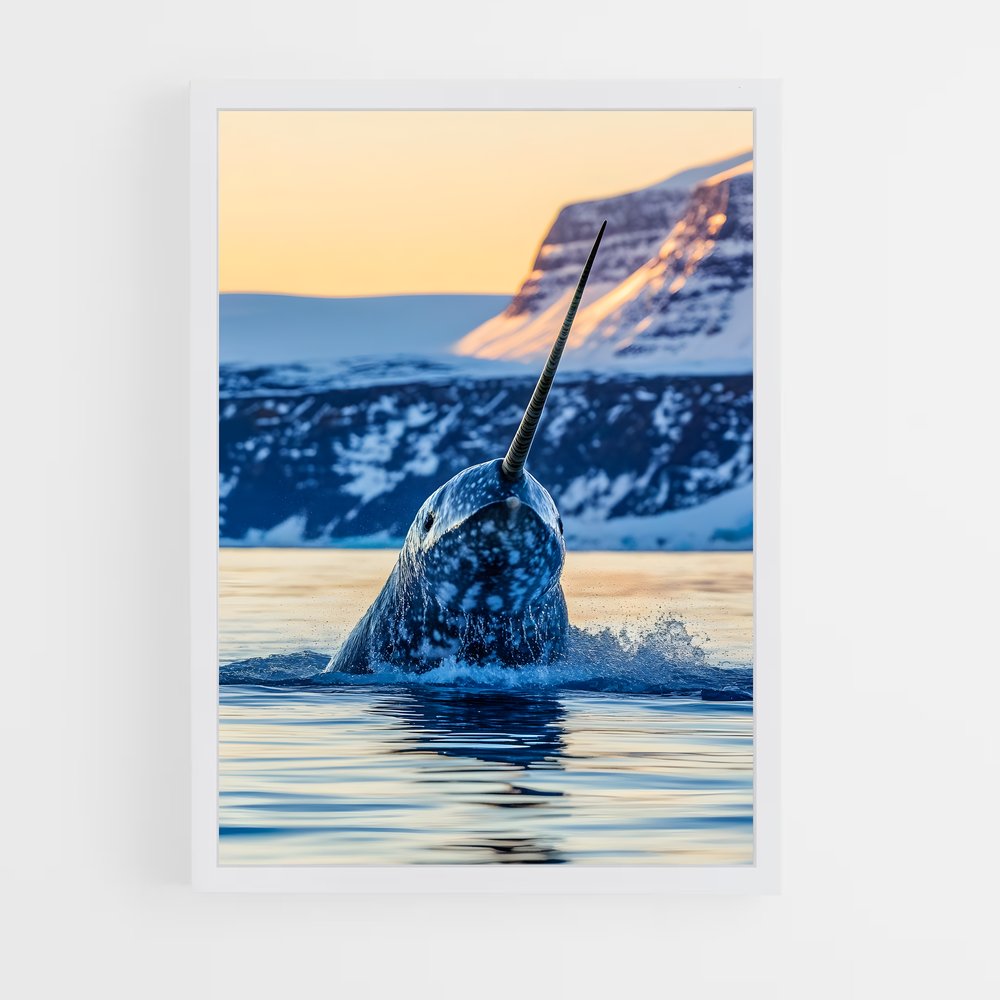 ap-narwhal-2 cadre Blanc