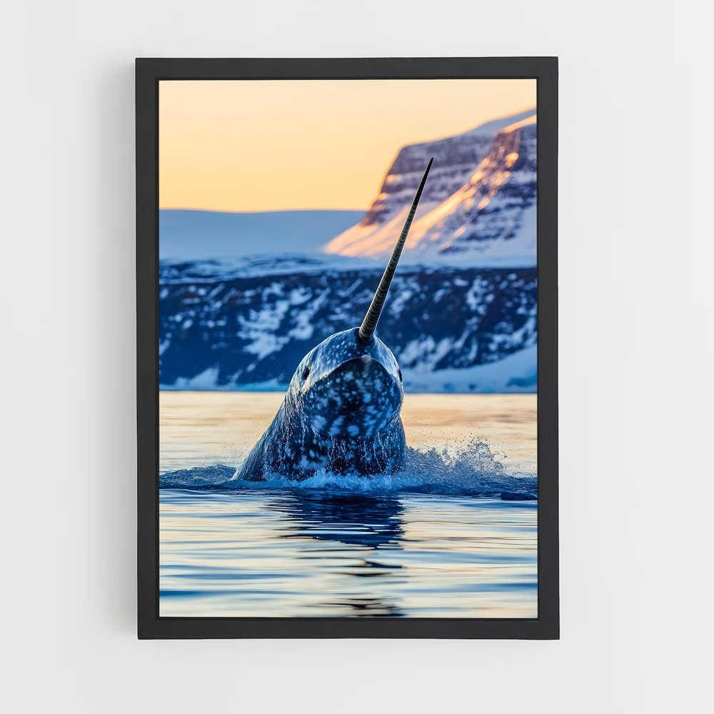 ap-narwhal-2 cadre Noir