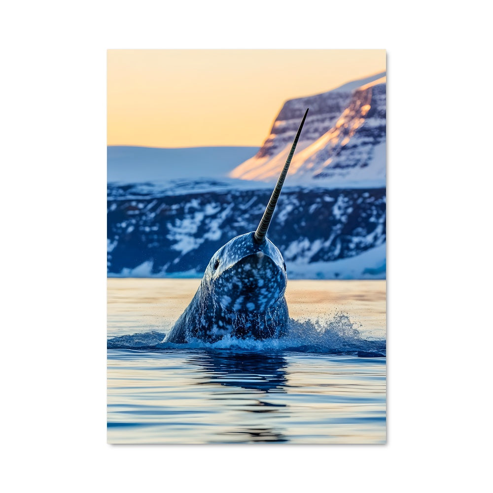 Poster Narwhal Adventure