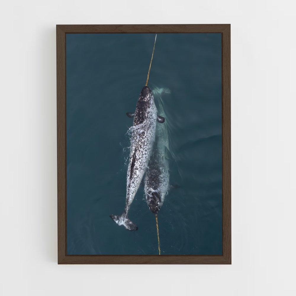 ap-narwhal-3 cadre Bois foncé