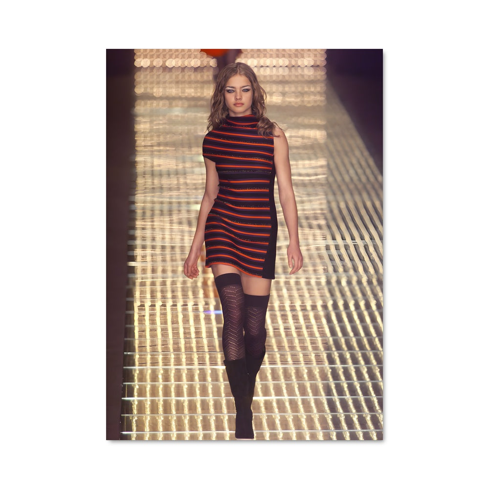 Poster Natalia vodianova 22696