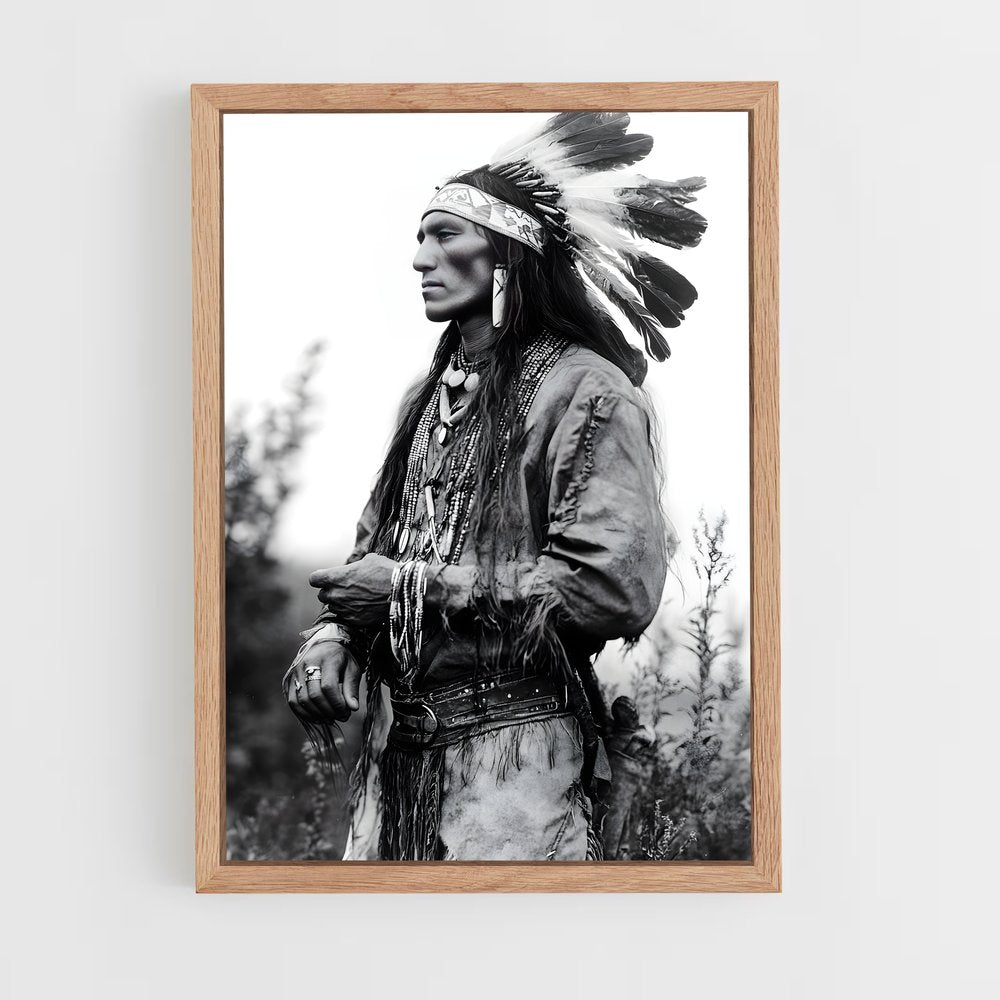 ap-native americans-2 cadre Bois clair