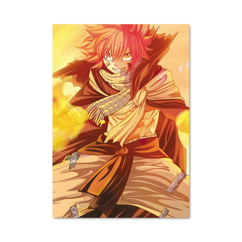 Poster Natsu dragneel 30088