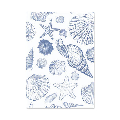 Poster Coquillages Marins