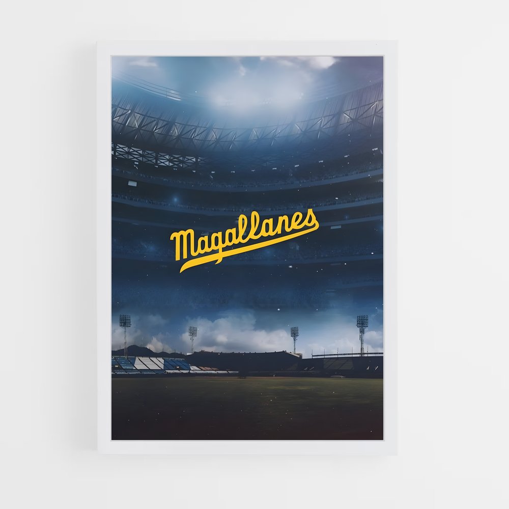 ap-navegantes del magallanes-1 cadre Blanc