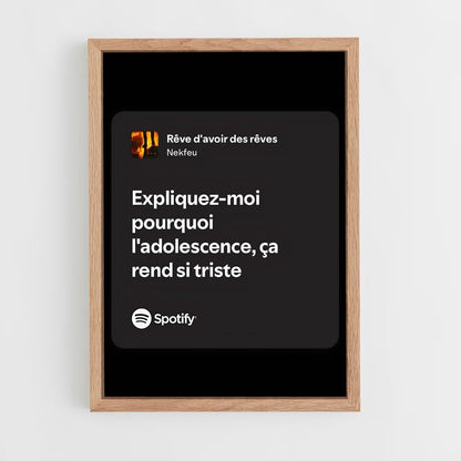 ap-nekfeu-3 cadre Bois clair