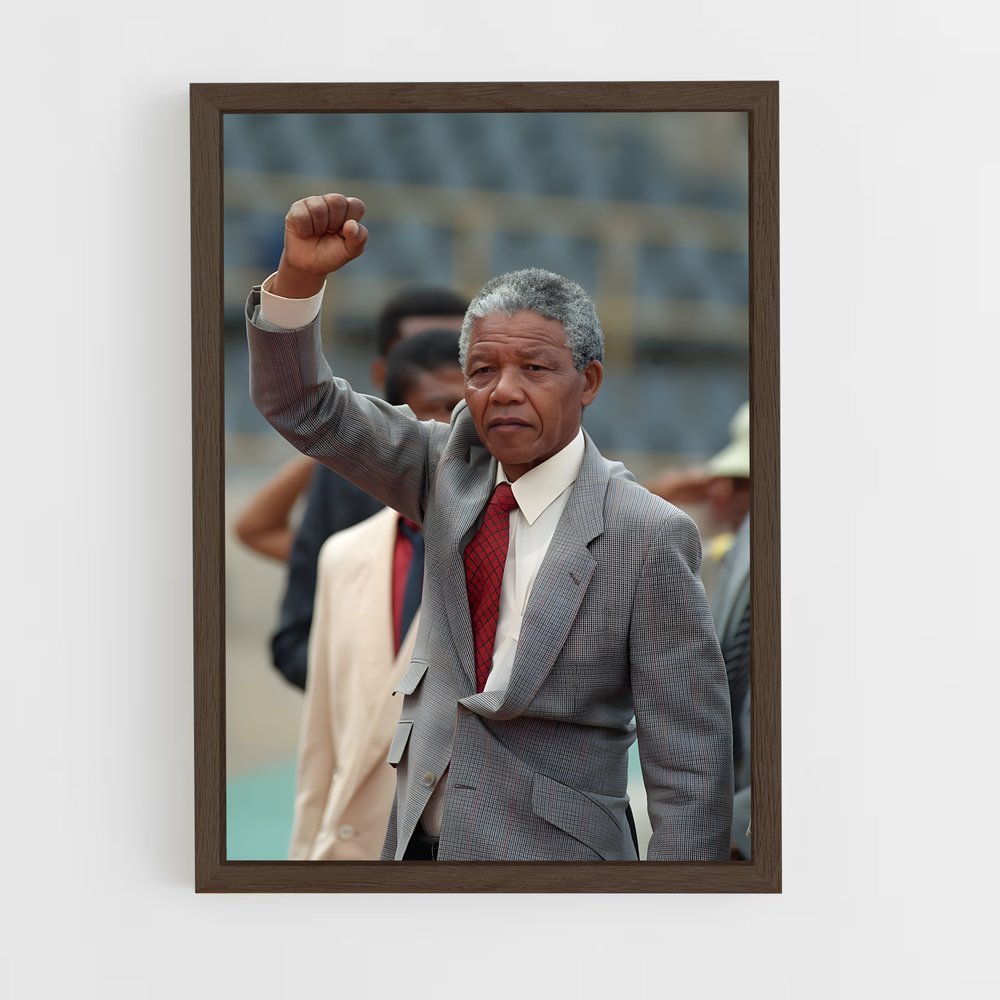 ap-nelson mandela-5 cadre Bois foncé