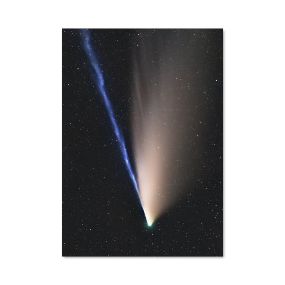 Poster Neowise 98150