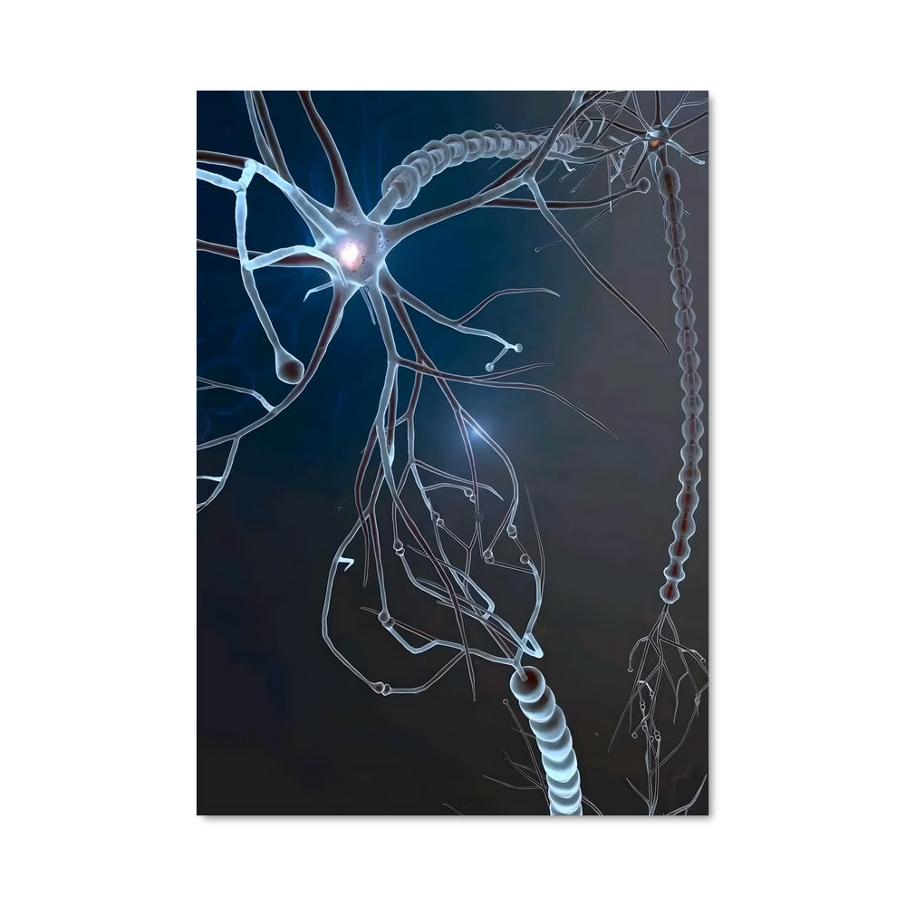 Poster Neurones Électriques