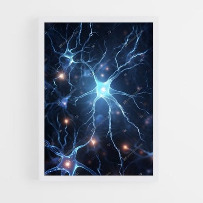 ap-neurons-10 cadre Blanc