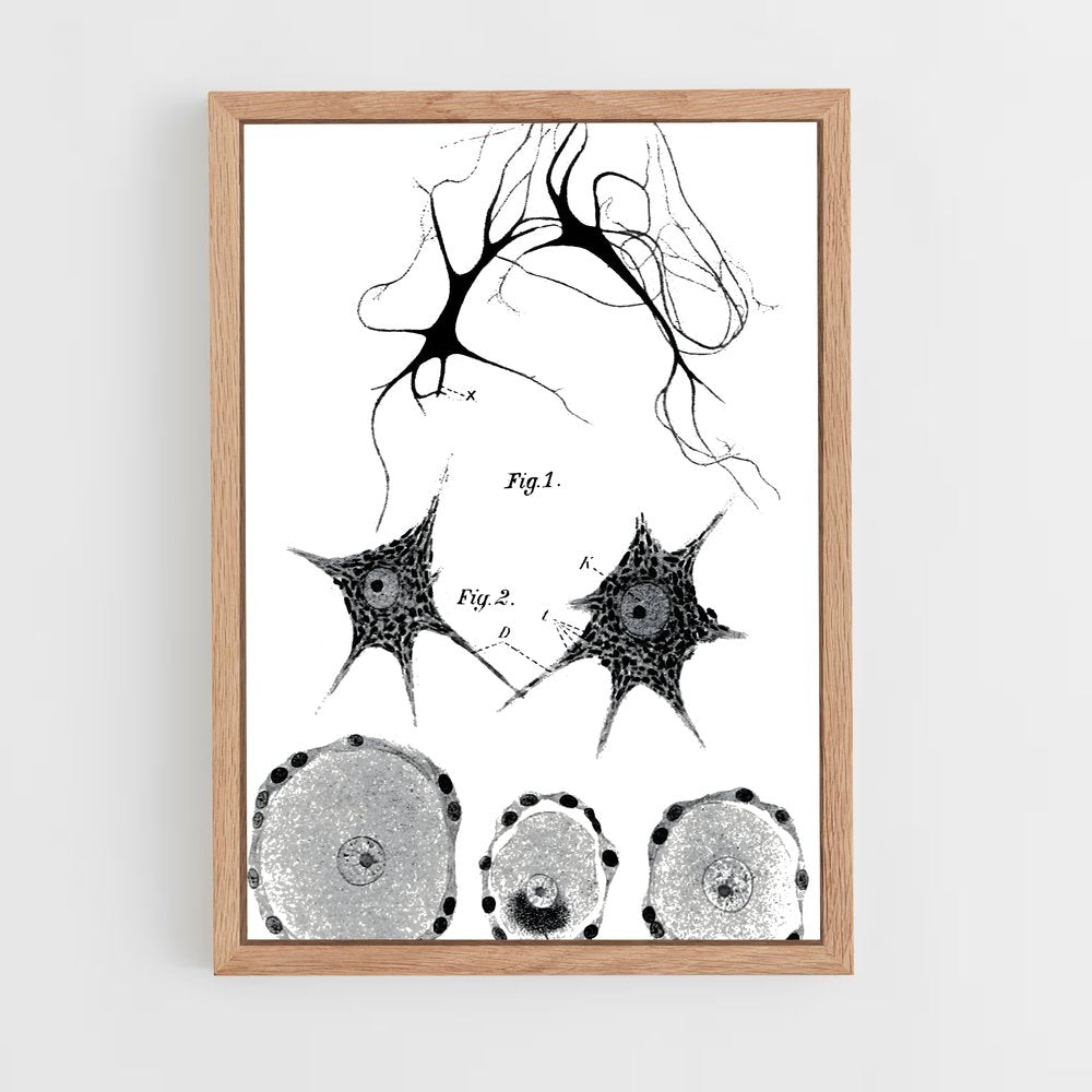 ap-neurons-9 cadre Bois clair
