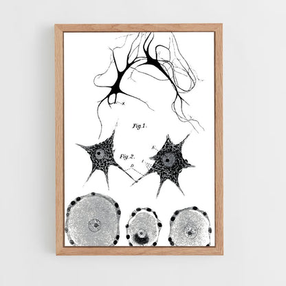 ap-neurons-9 cadre Bois clair