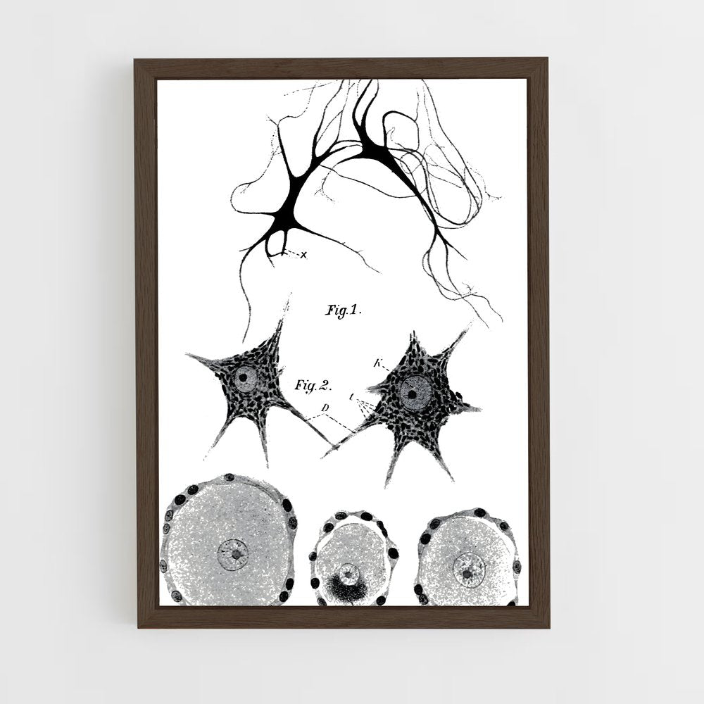ap-neurons-9 cadre Bois foncé