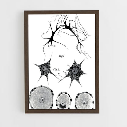 ap-neurons-9 cadre Bois foncé