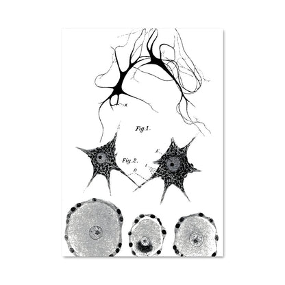 Poster Voyage des Neurones