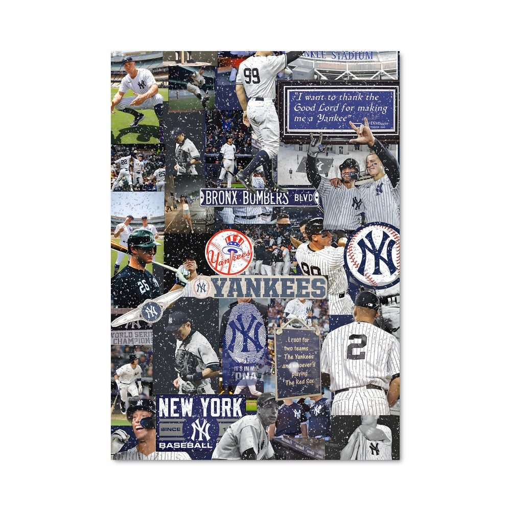 Poster La Passion du Baseball