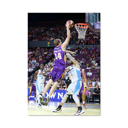 Poster New zealand breakers basketball 60012