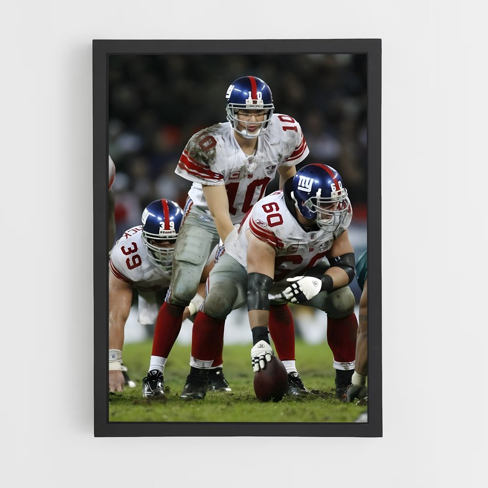 ap-new york giants-7 cadre Noir