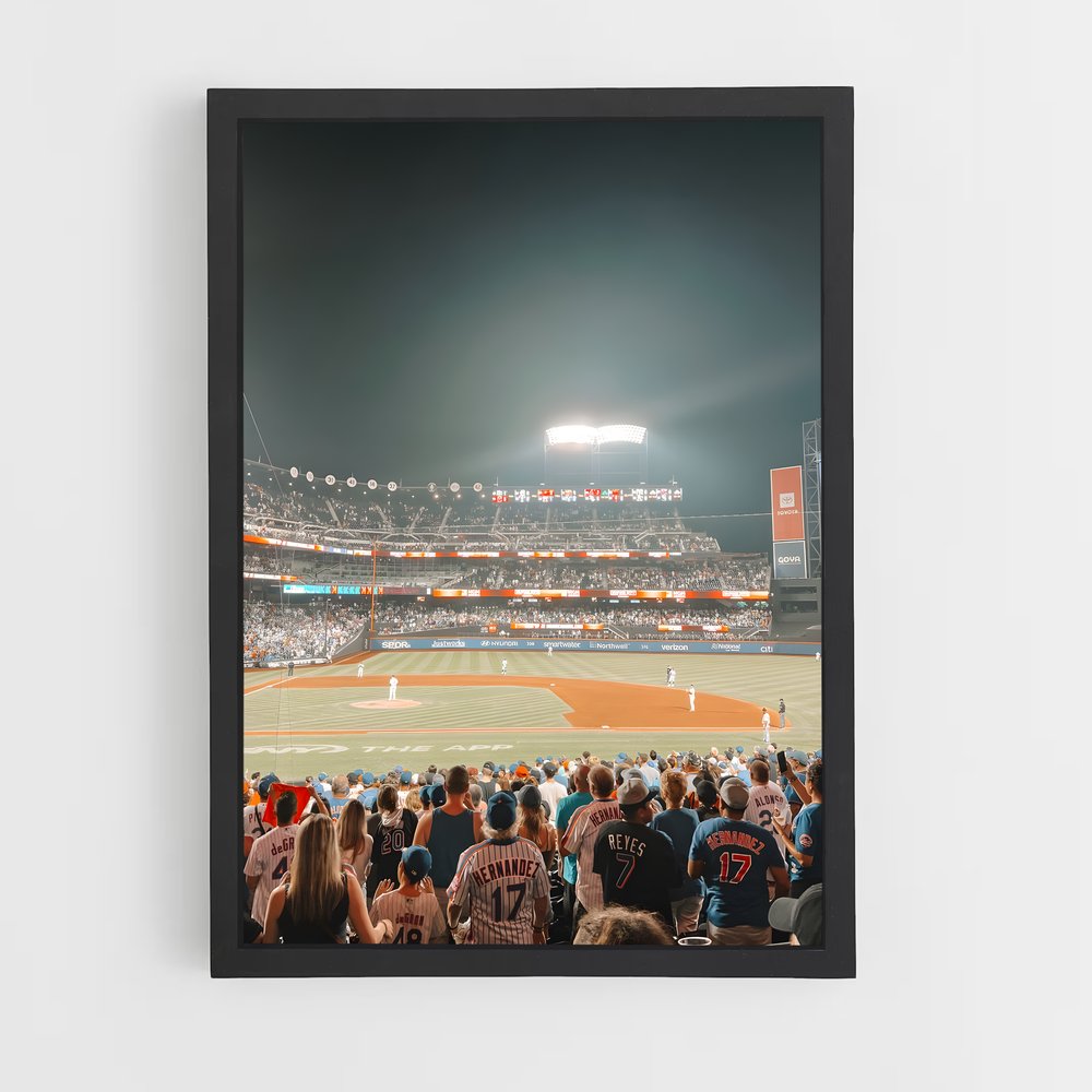 ap-new york mets-6 cadre Noir