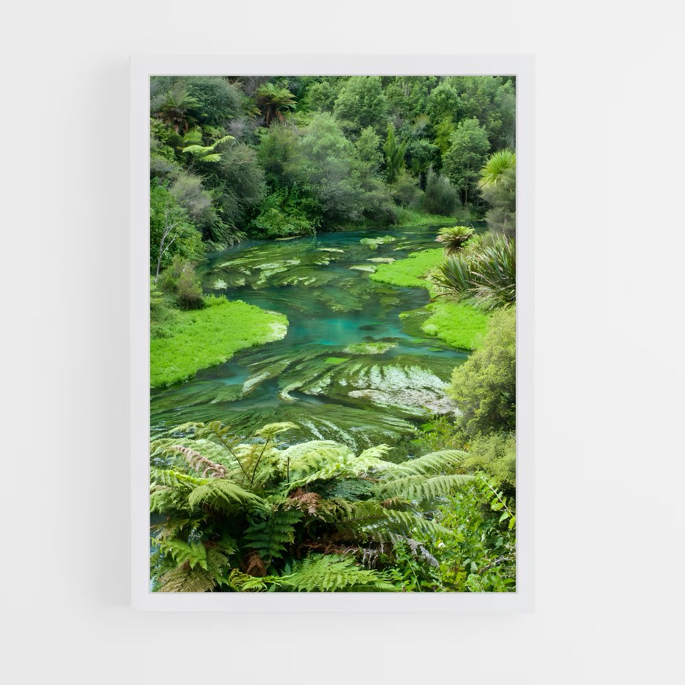 ap-new zealand-6 cadre Blanc