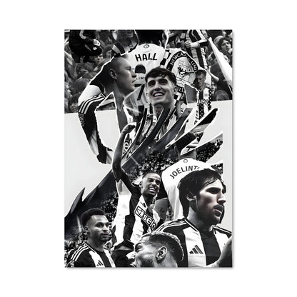 Poster Passion Magpie