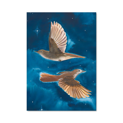 Poster Dans les Étoiles