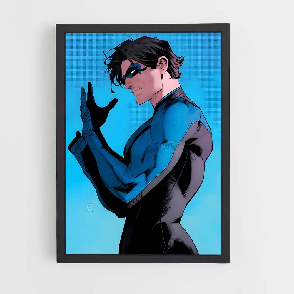 ap-nightwing-6 cadre Noir