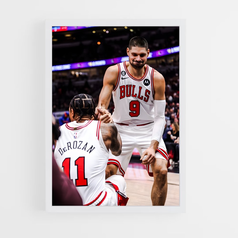 ap-nikola vucevic-3 cadre Blanc