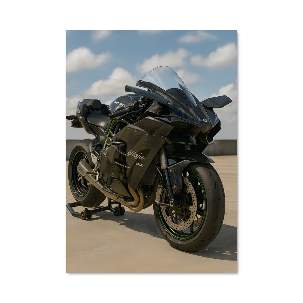Poster Ninja h2 82401
