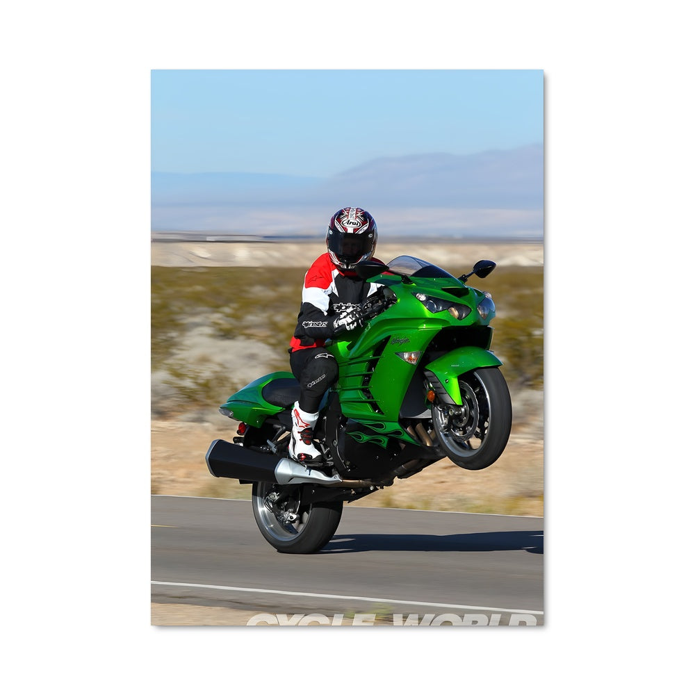 Poster Ninja zx-14r 82415